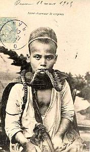 Images d'Algerie 167